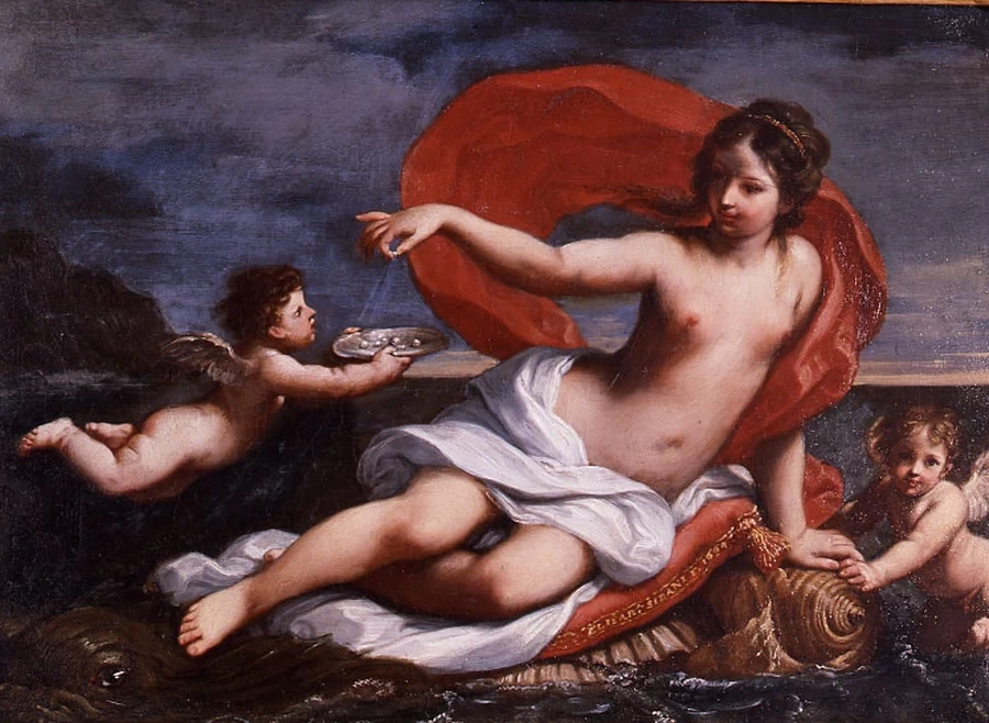 Galatea, 1664 - Museo civico di Modena